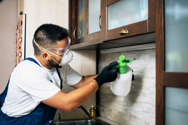 Best Best Pest Control Companies  in Dalton, GA