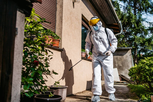 Best Local Pest Control Services  in Dalton, GA