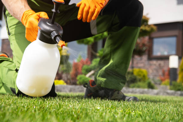 Best Pest Inspection Near Me  in Dalton, GA