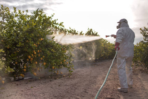  Dalton, GA Pest Control Pros