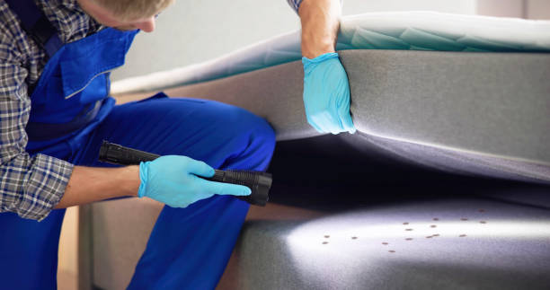 Best Exterminator Services  in Dalton, GA
