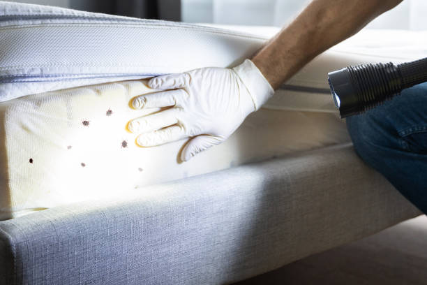Best Pest Removal Services  in Dalton, GA