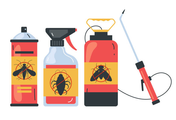 Best Insect Control  in Dalton, GA