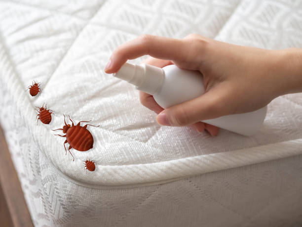 Dalton, GA Pest Control Company
