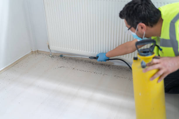 Best Residential Pest Control  in Dalton, GA